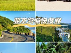 -亚龙湾热带天堂森林公园