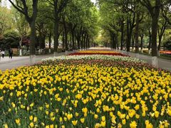 -上海鲜花港