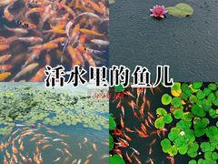 -昆山城市生态森林公园