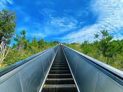 -千岛湖天屿景区