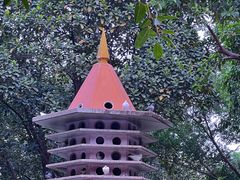 -顺峰山公园