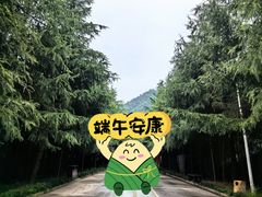-西安金龙峡风景区