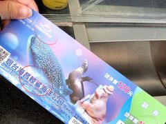 -烟台海昌鲸鲨海洋公园