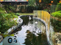 -熊猫自助餐厅.萌趣城堡(长隆熊猫酒店)