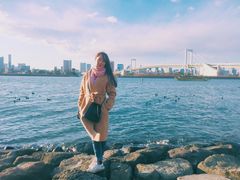 -台场海滨公园船码头