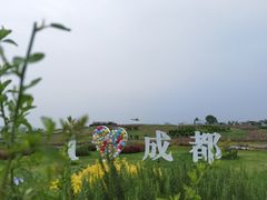 -空港花田景区