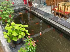 -燕北云山·农家菜·灶台鱼(密云溪翁庄店)
