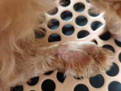 -圣宠动物医院·犬猫专科·影像中心·外科中心