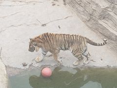 -大连森林动物园