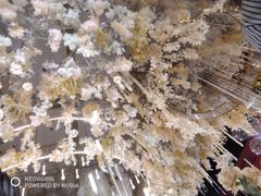 -洛阳国际大酒店-香榭丽舍西餐厅