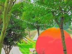 -泗洪洪泽湖湿地景区