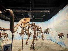 -辽宁古生物博物馆