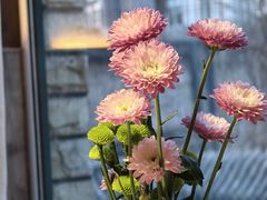 -慢丽江·云南野生菌土鸡锅(付家庄店)