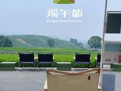 -龙坞茶村