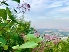 -北京西山国家森林公园