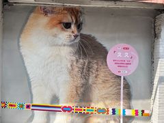 -方浜中路45弄小区