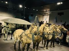 -秦始皇帝陵博物院-丽山园