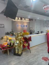 -爱秀造型 T-G