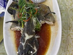 -鹏城人家海鲜酒家·23年老字号(较场尾店)