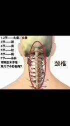 -名发世家烫染