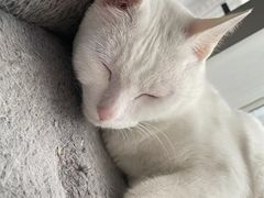 -Doors独立剧情密室(东门分店)