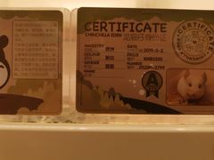 -龙猫仔乐园(惠福东路店)