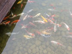 -窗外西餐厅(普罗理想国店)