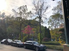 -深圳东部华侨城茵特拉根酒店