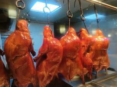 -守柴炉烤鸭&顺水鱼馆(合生汇店)