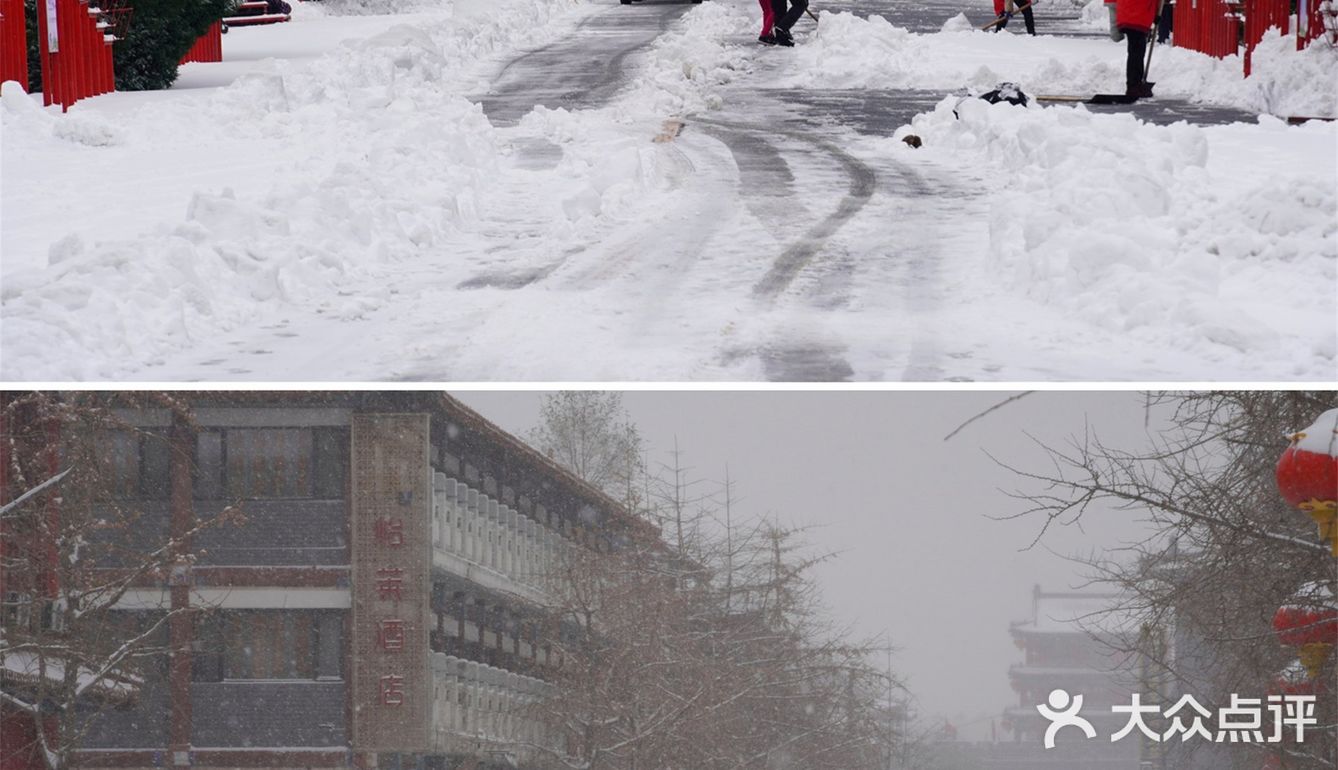 沈阳冬天的第一场雪｜大雪让沈城变成了盛京