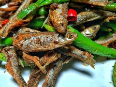 青椒白条鱼-邛海风味特色菜馆