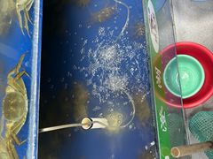 -阳澄湖大闸蟹·琼灵阁牌品牌连锁(吴中总店)