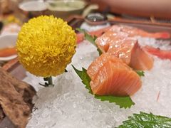 -月龍吟(朝龙汇店)