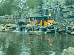 -北京野生动物园