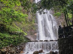 -姑婆山旅游区