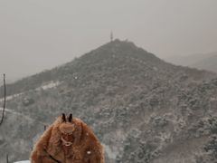 -北京鹫峰国家森林公园