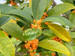 -东钱湖旅游度假区