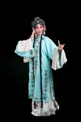 -胭脂猫京剧摄影