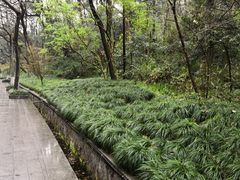 -杭州西湖风景名胜区-满觉陇四眼井