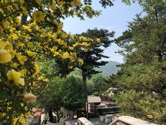 -妙峰山风景名胜区