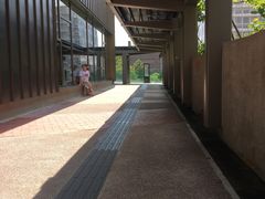 -香港大学