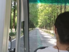 -黄海国家森林公园