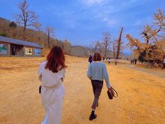 -千年银杏谷文化旅游区