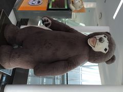 iphone_upload_pic-济州岛泰迪熊博物馆