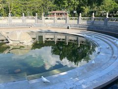 -顺峰山公园