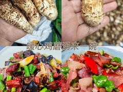 -三锅莊·牦牛肉火锅·香格里拉特色藏餐宴请餐厅(菱角塘路店)