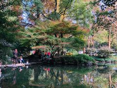 -杭州植物园
