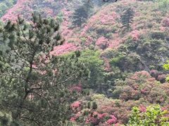 -木兰云雾山
