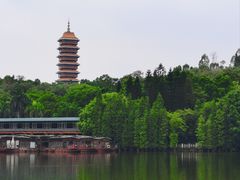 -三水森林公园