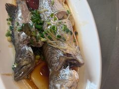 -台山新孖宝柴火黄鳝饭(三合温泉店)